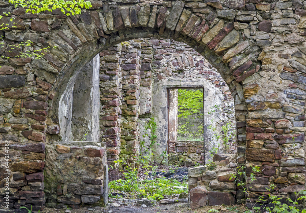 Fragment of stone old ruins overgrown with plants