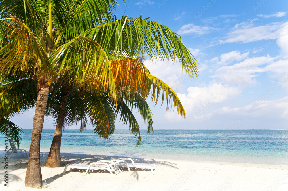 Unpopulated Tranquil Beach