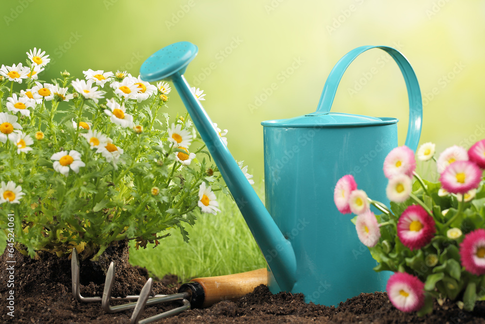 Gardening tools and flower