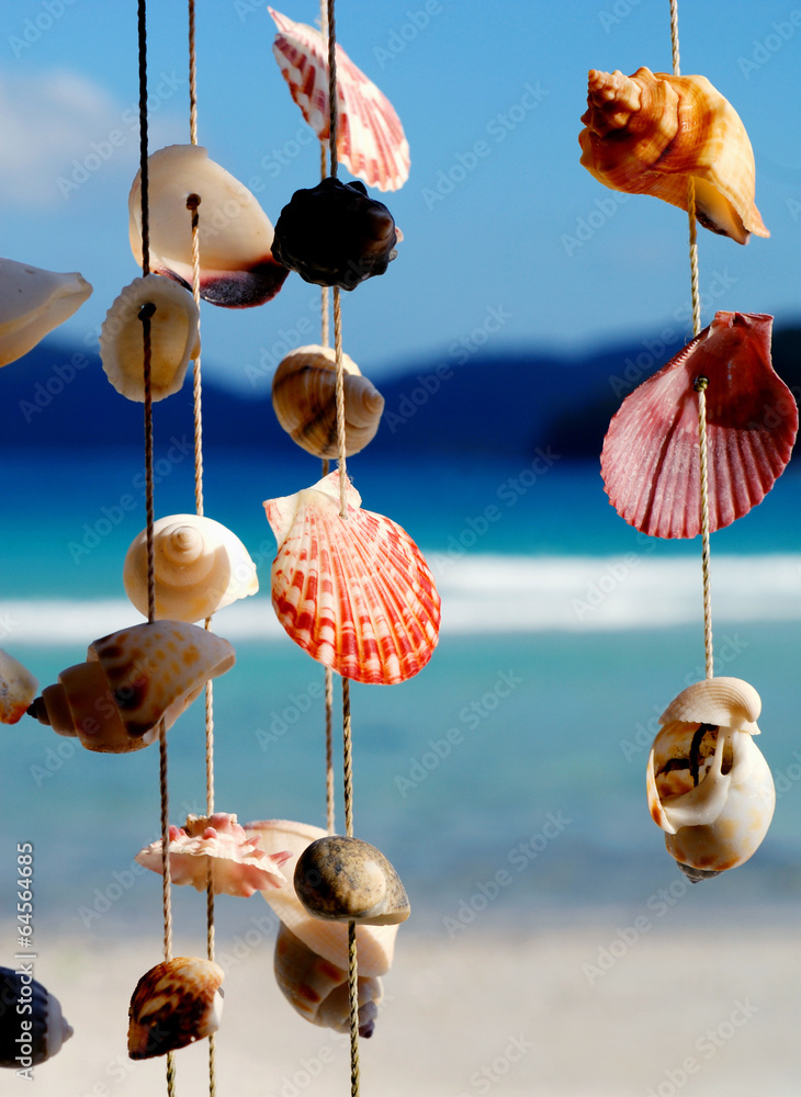 Sea Shells