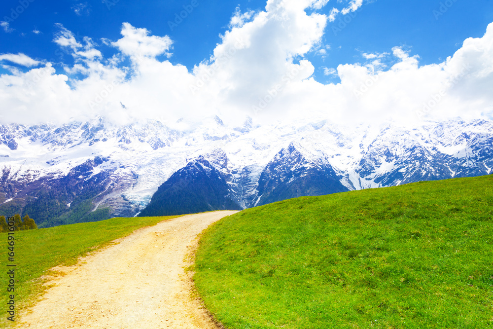 Path crossing meadow near Mont Blanc in summer