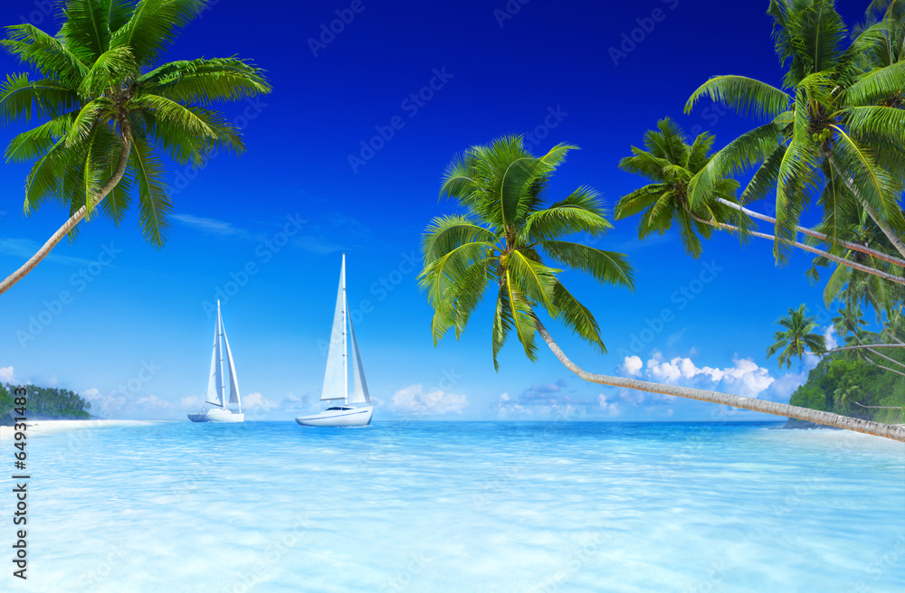 Sailboats on beach and palm tree