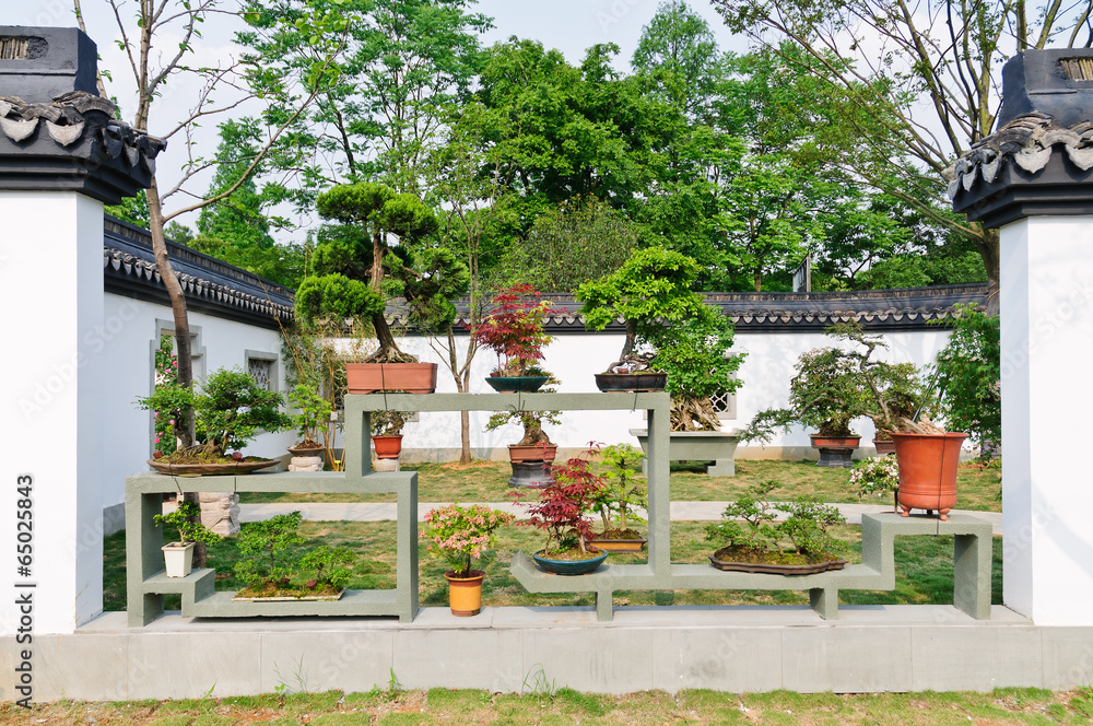 Hangzhou potted landscape in the park,  China