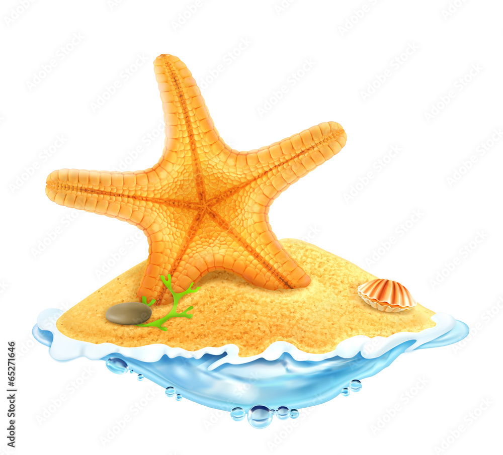 Starfish in the sand, vector illustration