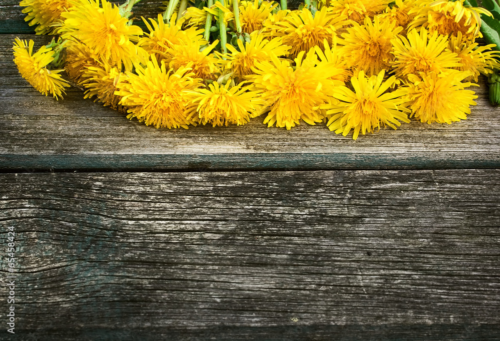 Dandelions on wooden background