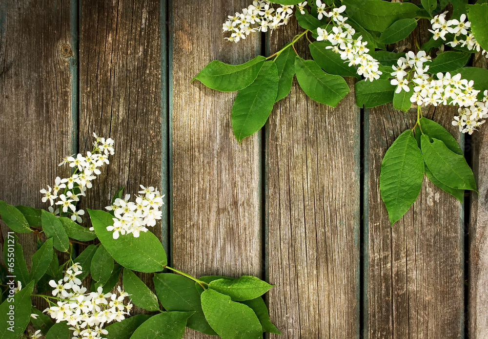 bird cherry on wooden board