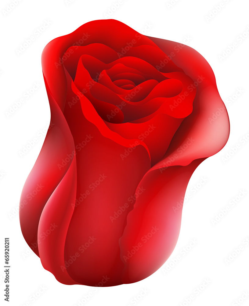 A red rose