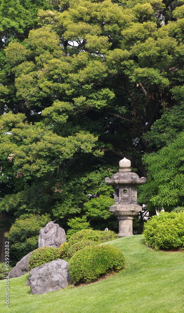 夏季美丽的日本绿色花园