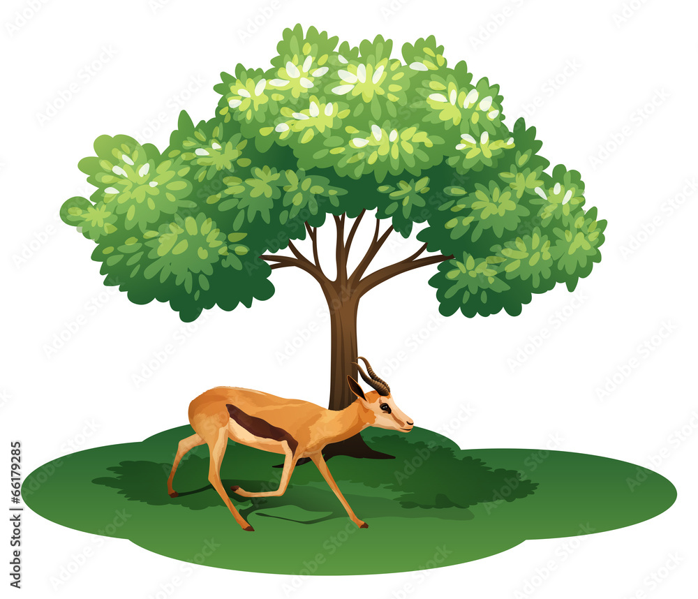 A deer under the tree