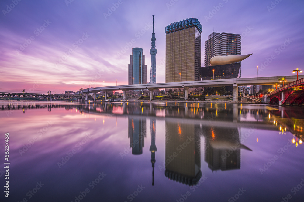 日本东京隅田河畔城市景观