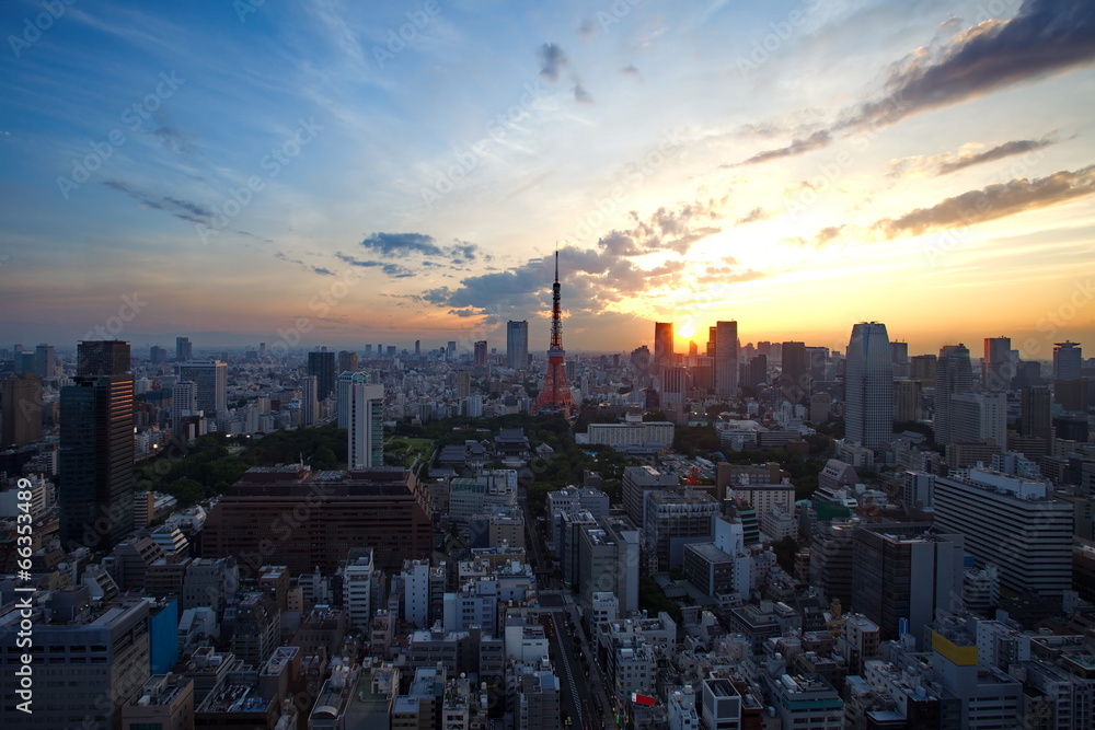 夜间东京市中心的东京天际线