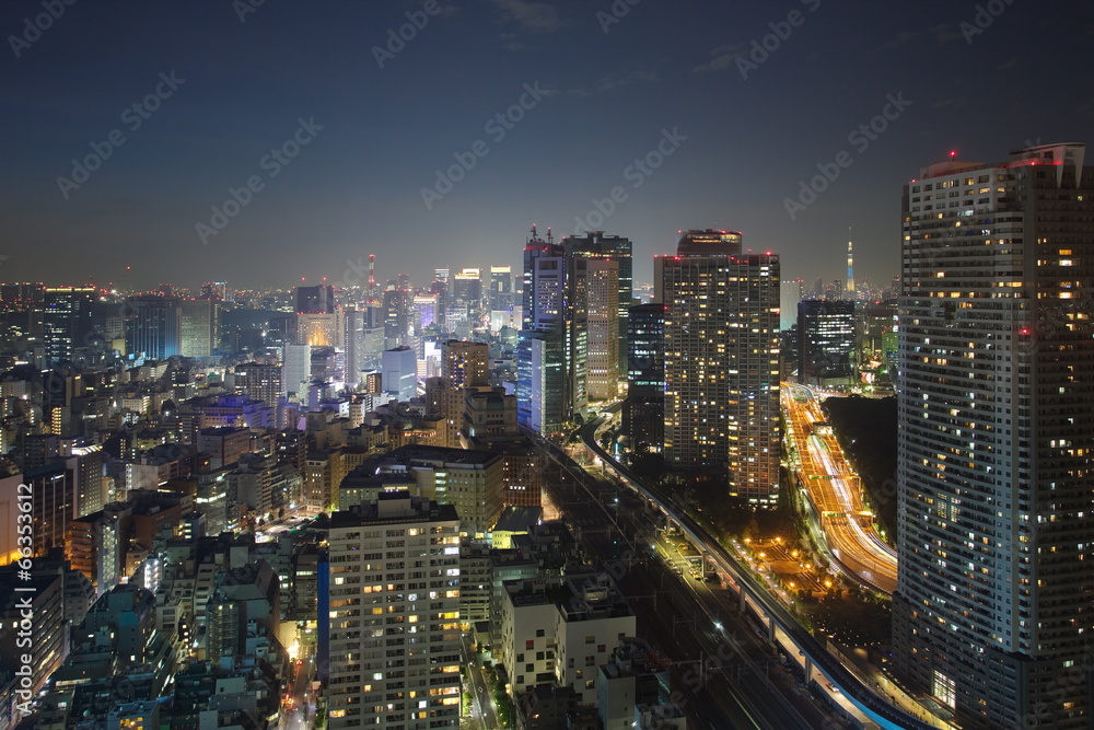 夜间东京市中心的东京天际线