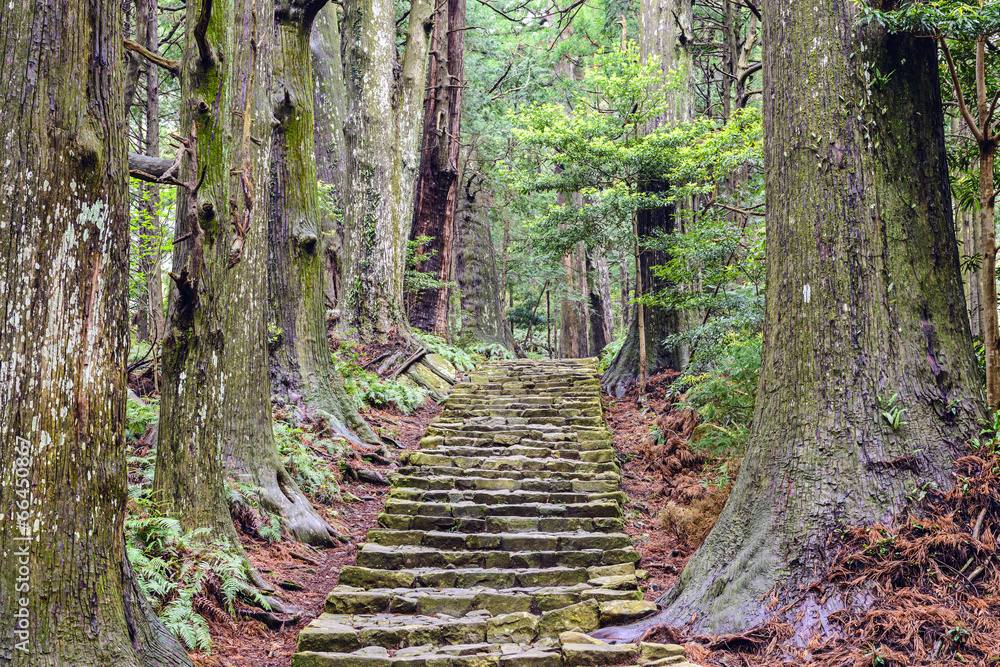 日本和歌山的熊野小路在大门坡