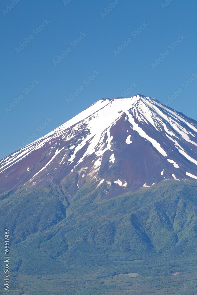 Mt Fuji in summer season from Kawaguchiko lake, Yamanashi