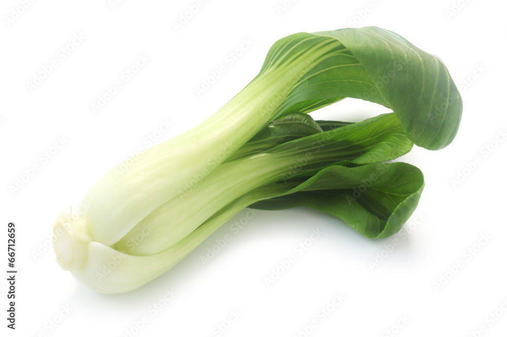 Pok Choi