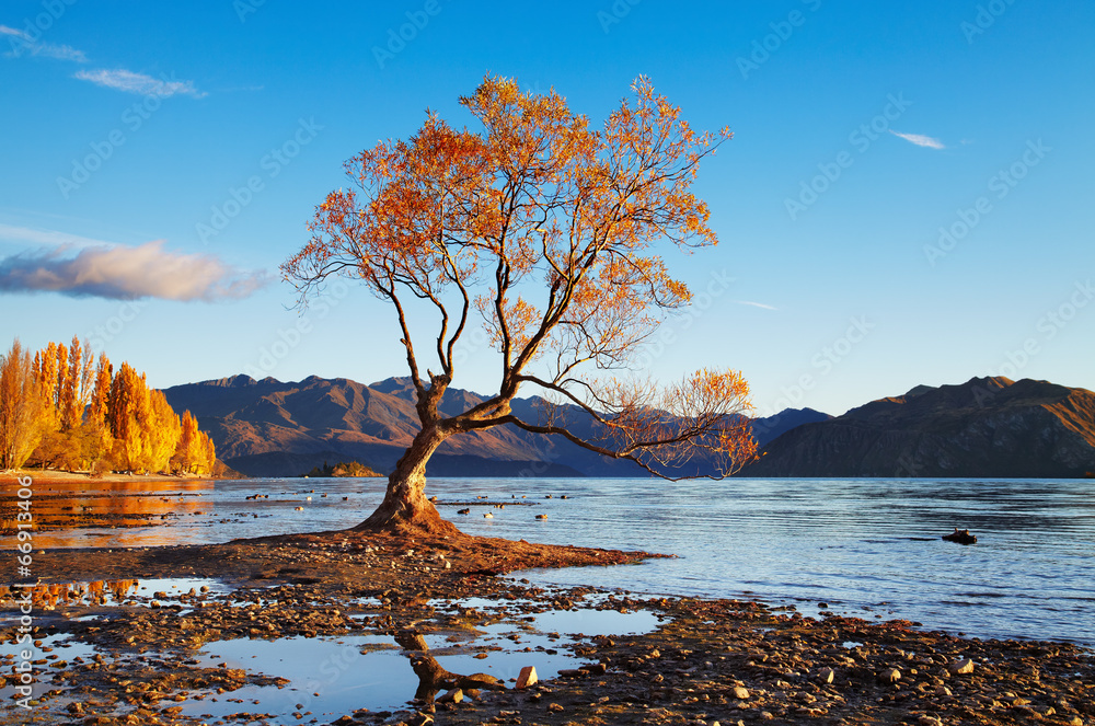 Lake Wanaka, New Zealand