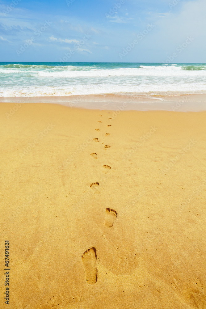 Idyllic beach