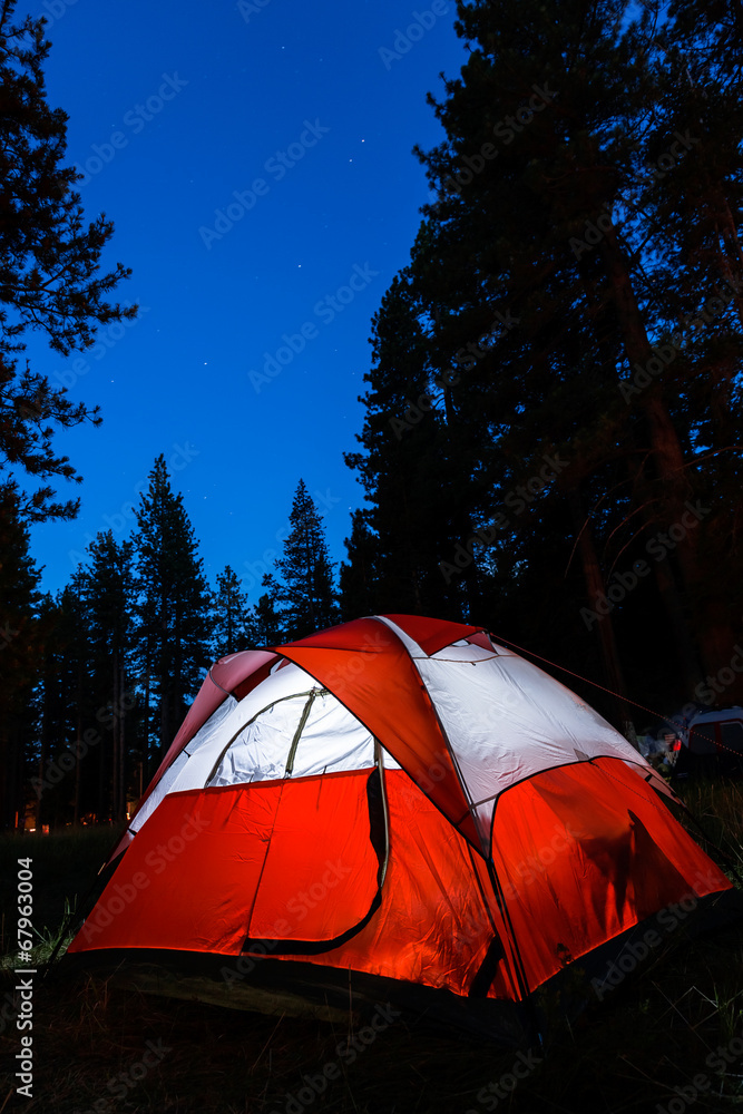 Forest camping