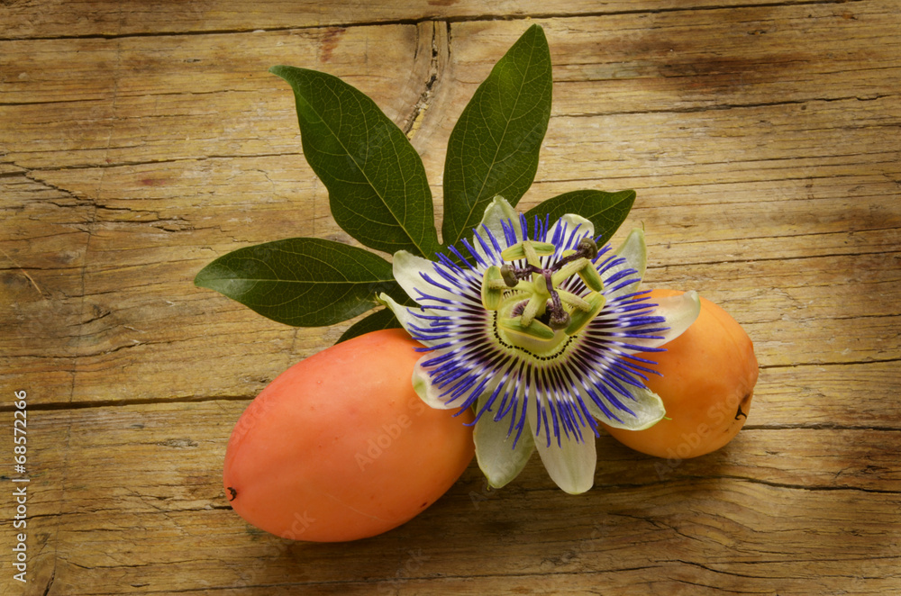 Passiflora caerulea Passion flowers Passionsblumen Страстоцвет