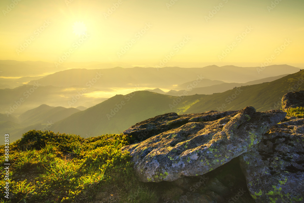 日出时的岩石。美丽的夏季景观