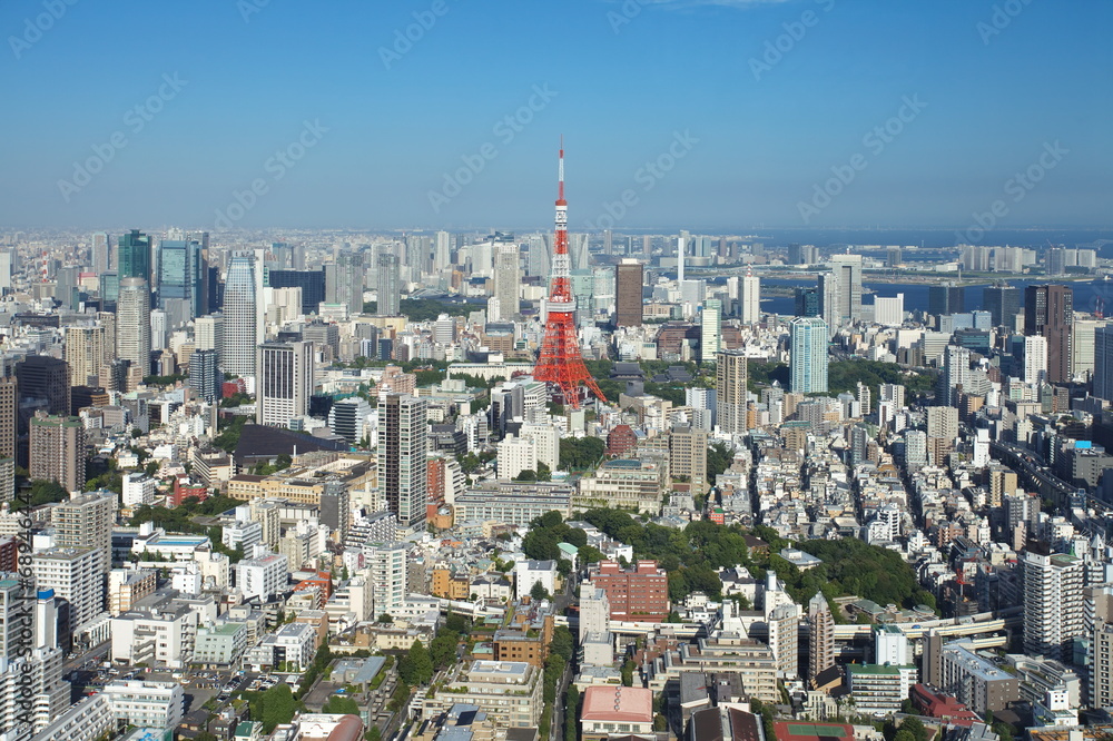 View of Tokyo city and Tokyo tower