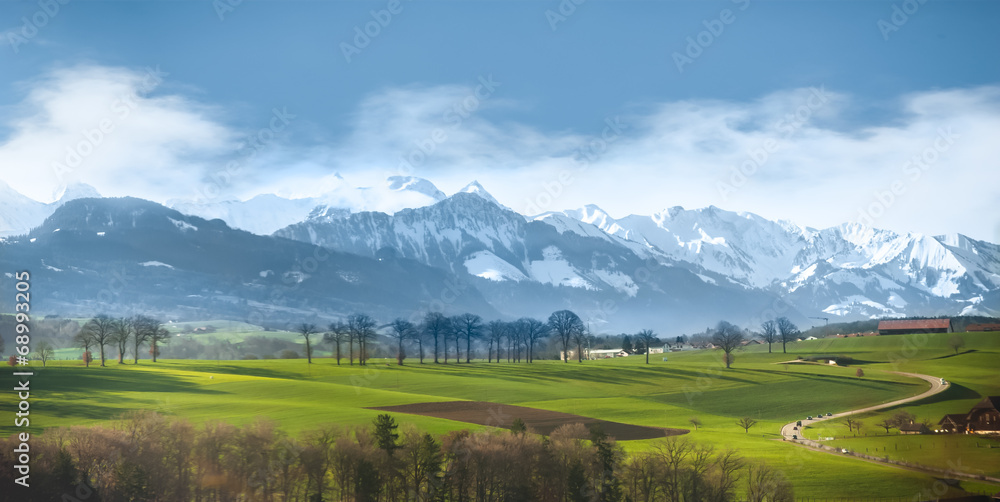 Country side landscape with road green field forest and ice glac