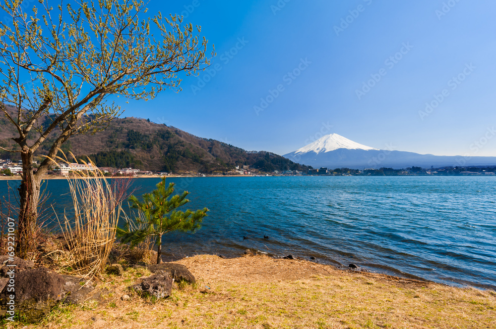 富士山，从日本河口湖看富士山