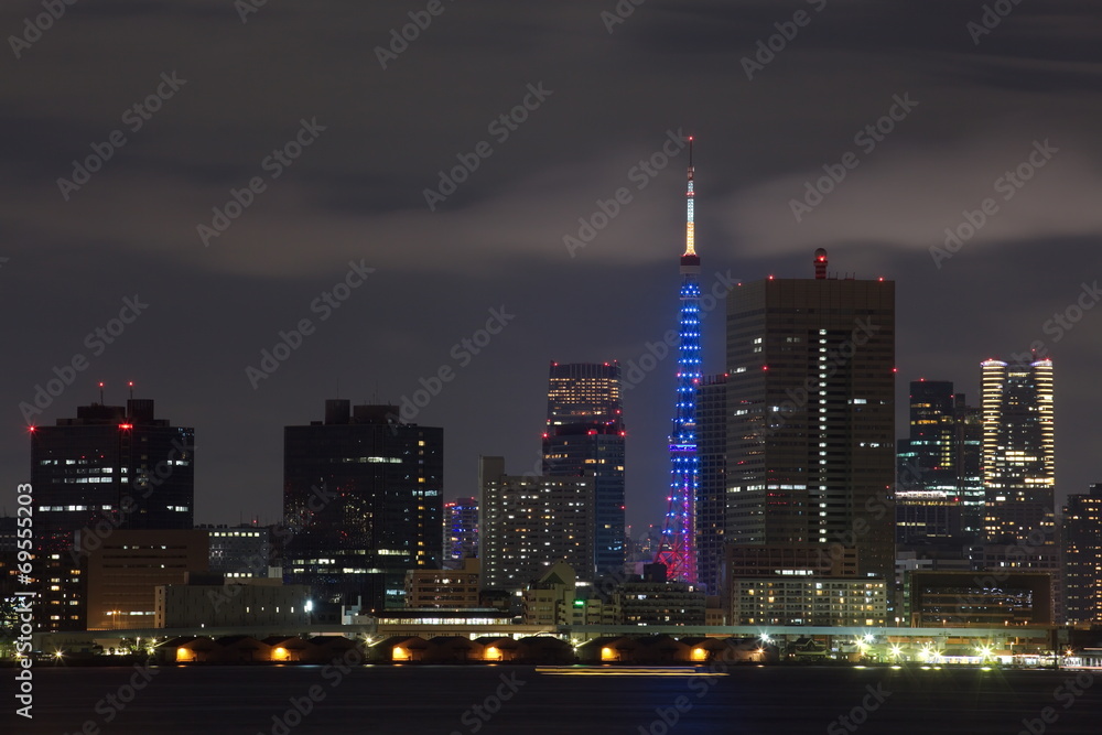 夜间东京塔和东京湾景观