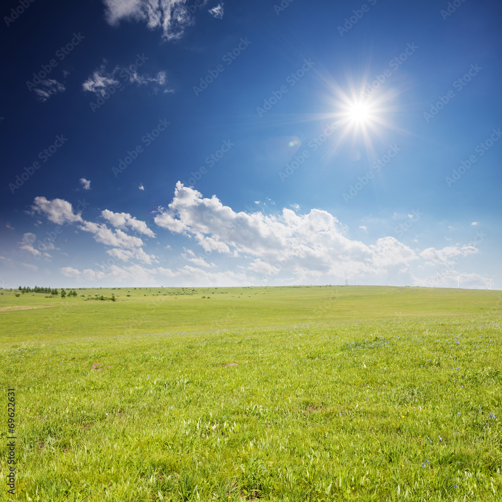 grass field under sunshine