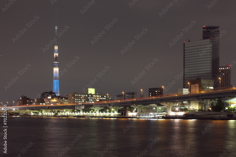 隅田河和东京天树的东京城市景观