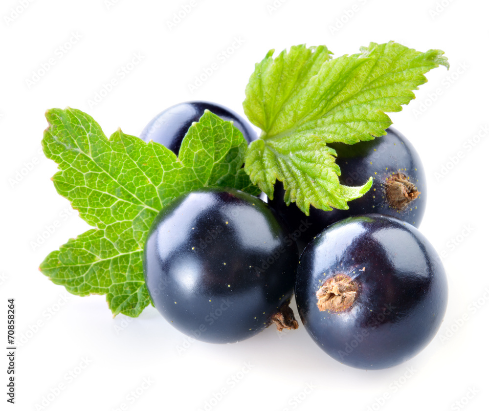 Black currant isolated on white background