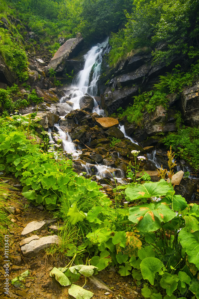 山谷中的瀑布。美丽的夏季景观