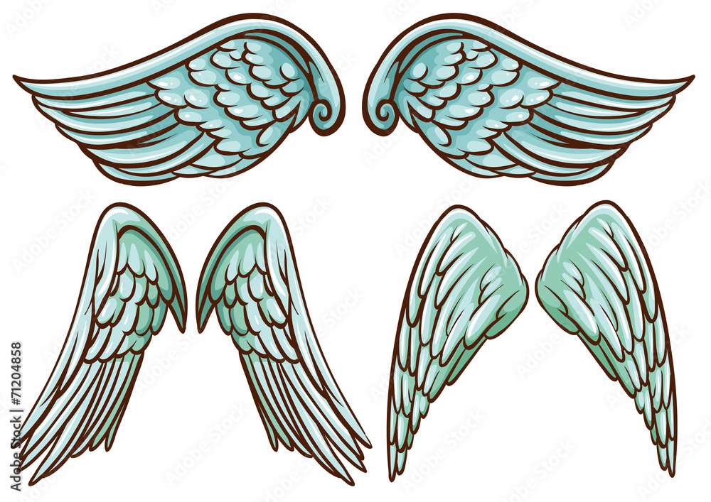 Wings