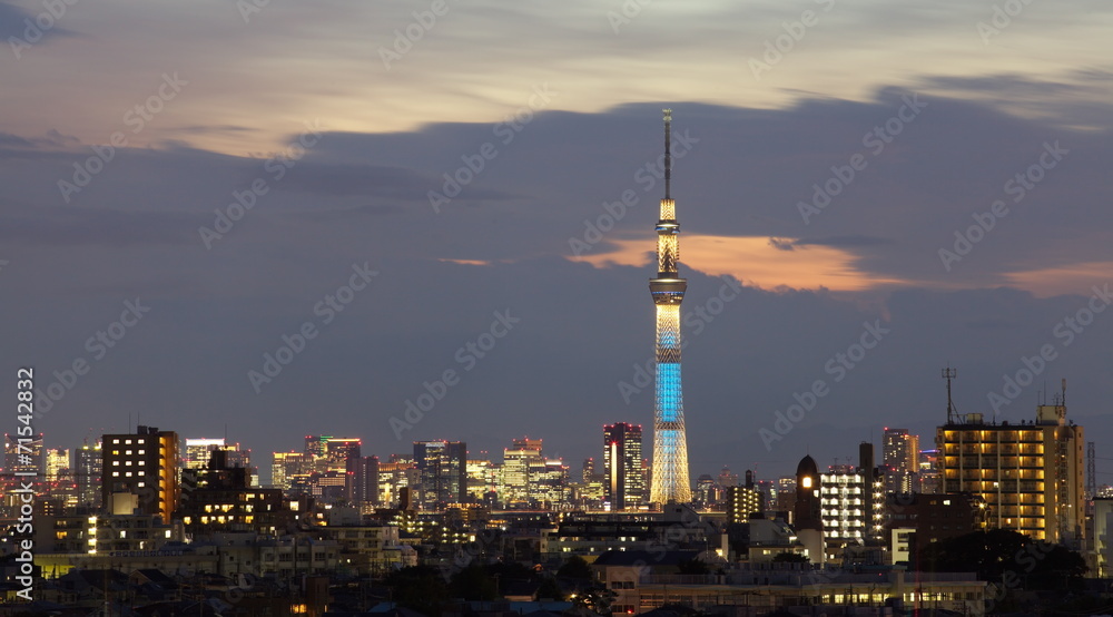 东京天空之树和隅田河