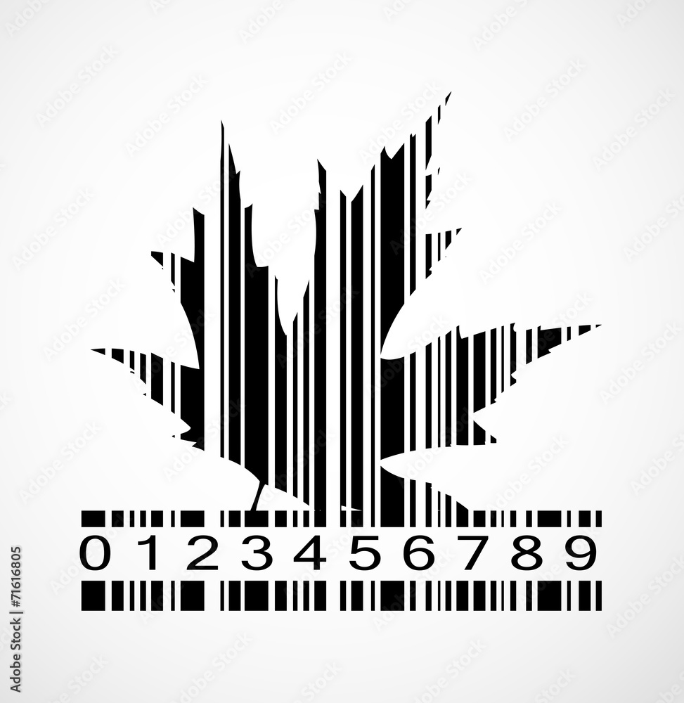 Barcode Autumn Maple Leaf  Image Vector Illustration