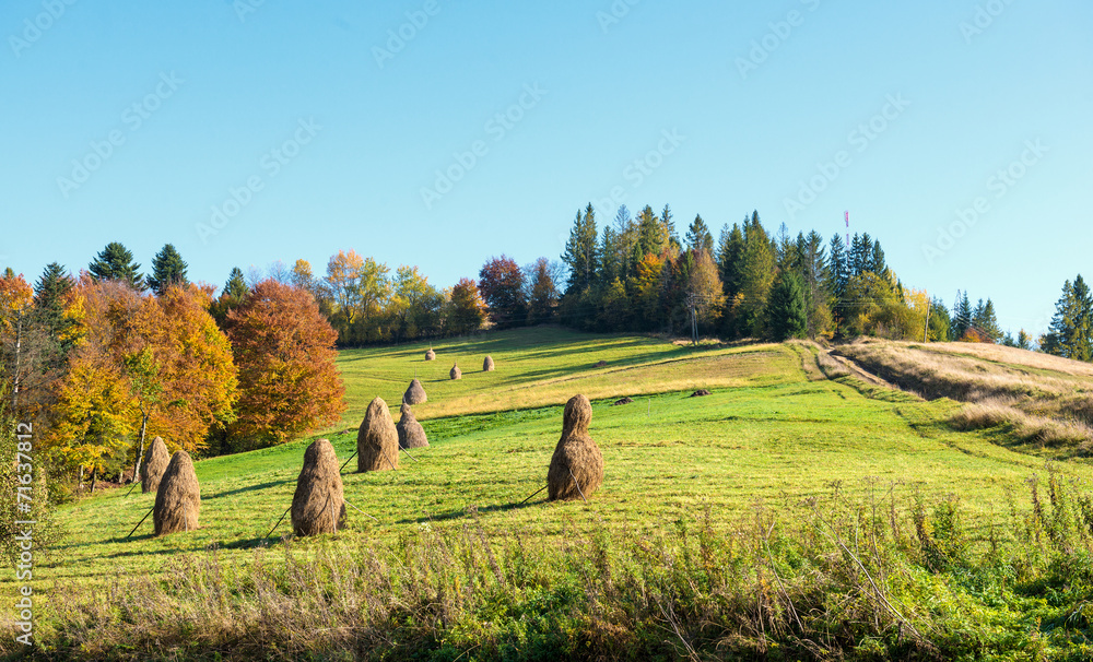 Autumn landscape