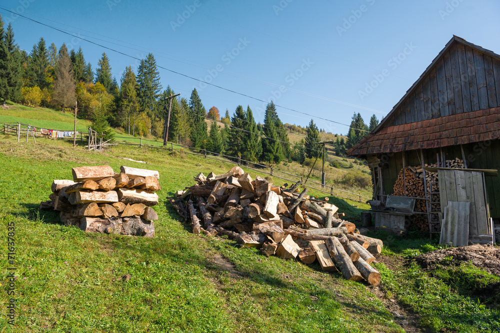 Pile of wood logs