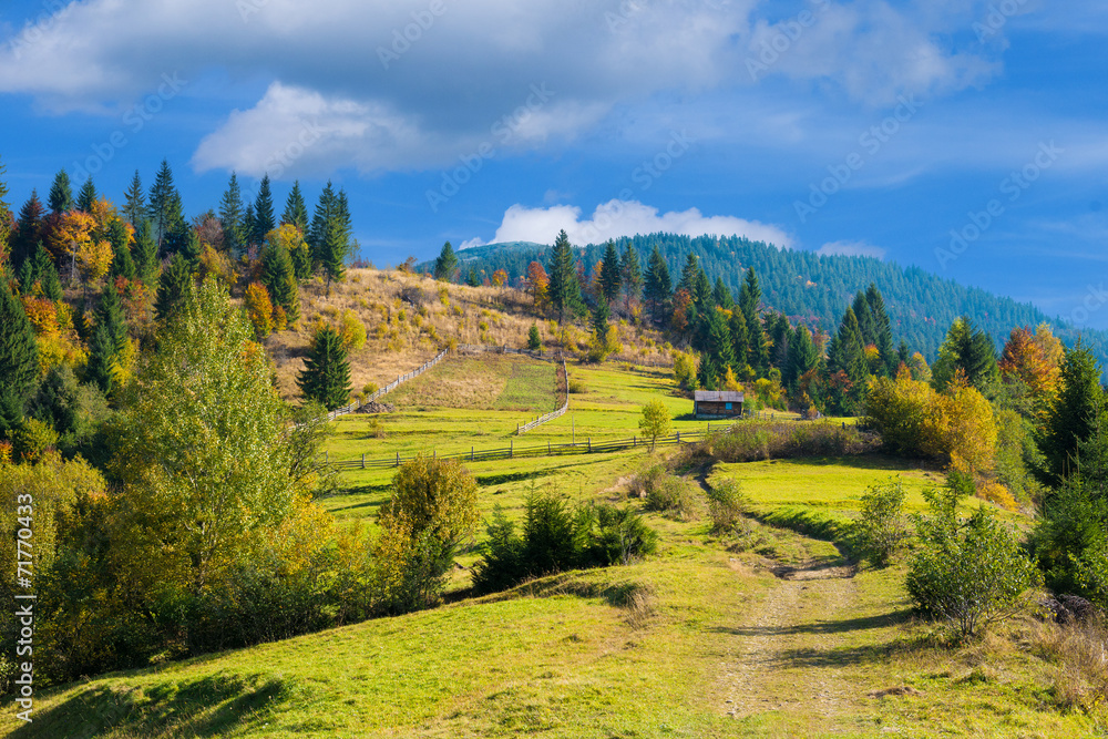 Autumn landscape