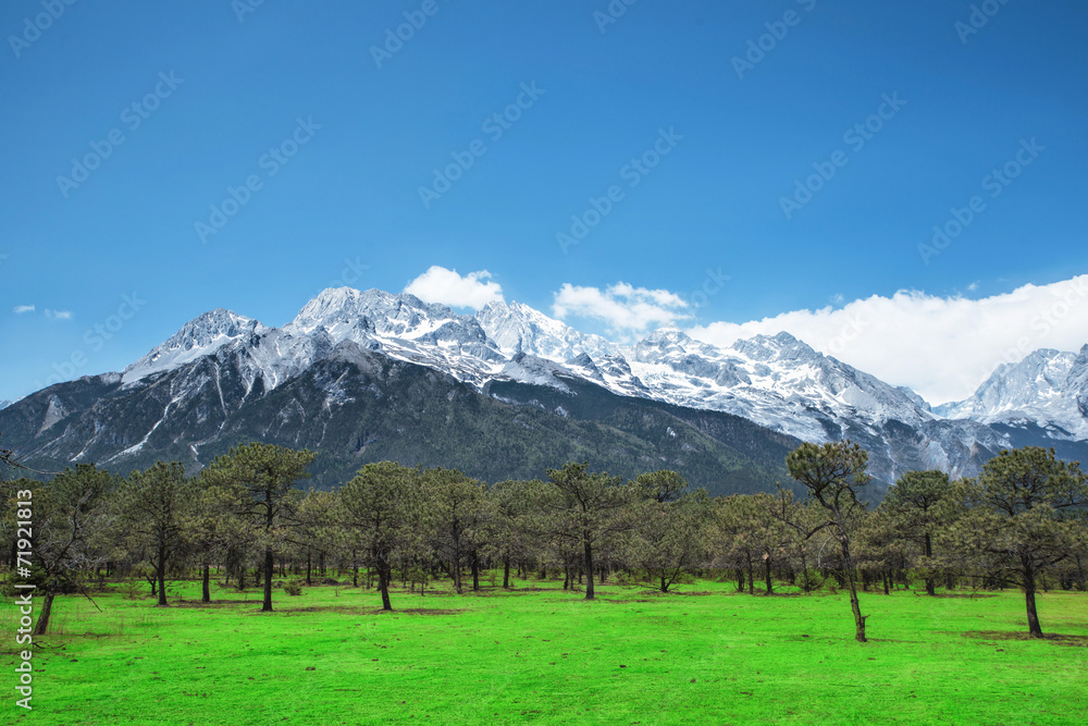 中国云南丽江松林玉龙雪山