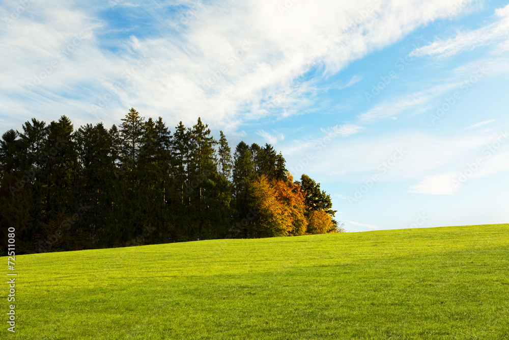 Waldrand im herbst