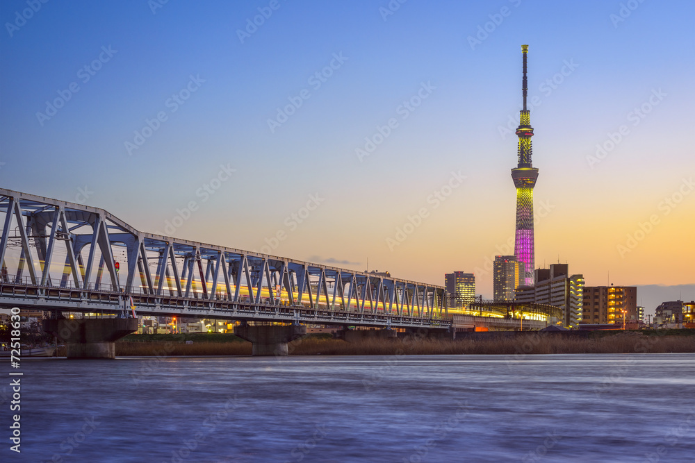 东京，日本，东京空中树的河流天际线