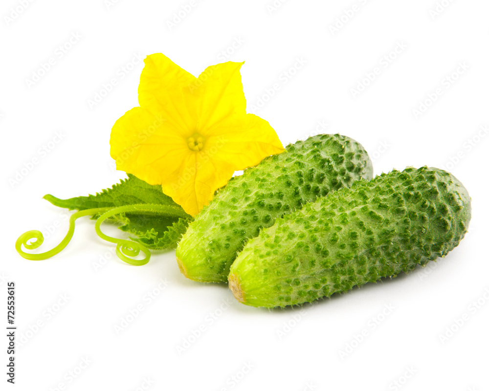 cucumbers