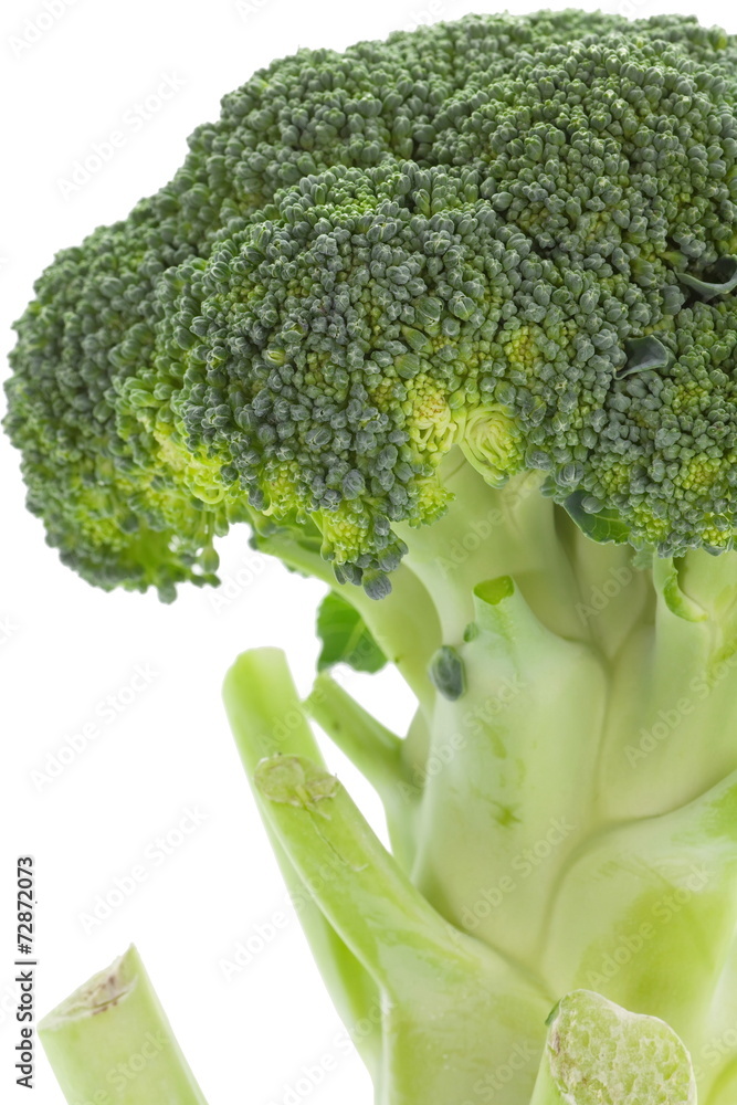 bunch of fresh broccoli isolated on white background