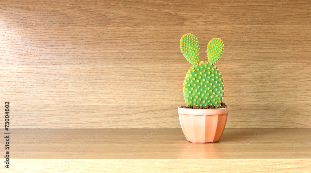 Opuntia cactus in brown pot on wooden shelf