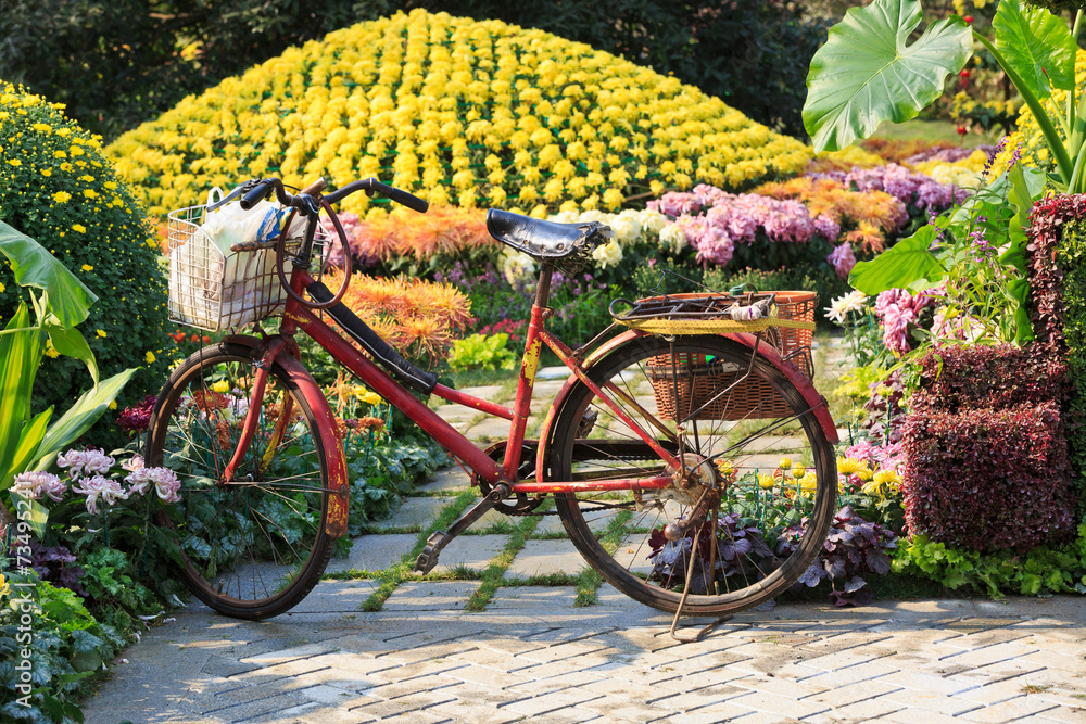 old bike in hangzhou botanical garden