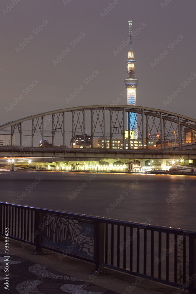 相田河和东京天空树的东京夜景