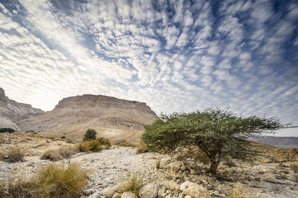 以色列Masada