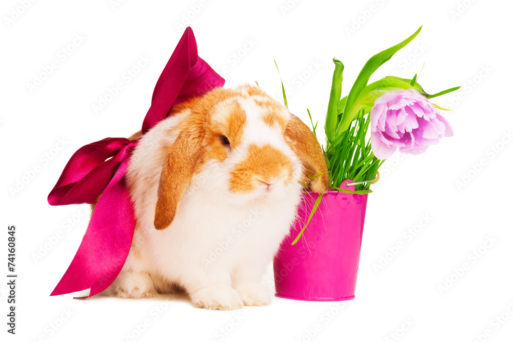 Cute bunny with red silk bow near pink pot