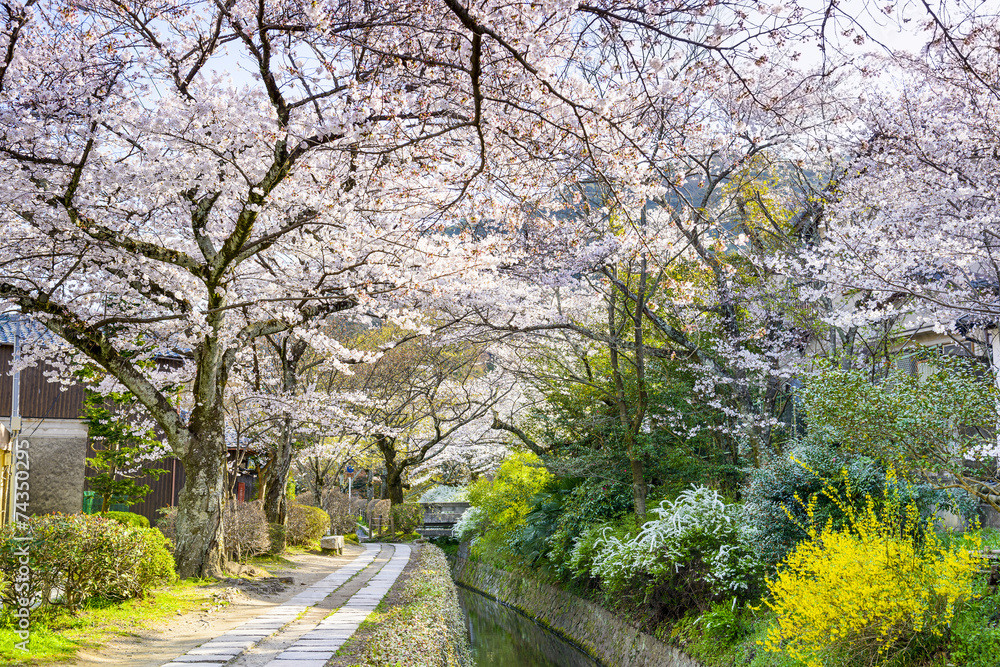 京都的哲学家之路