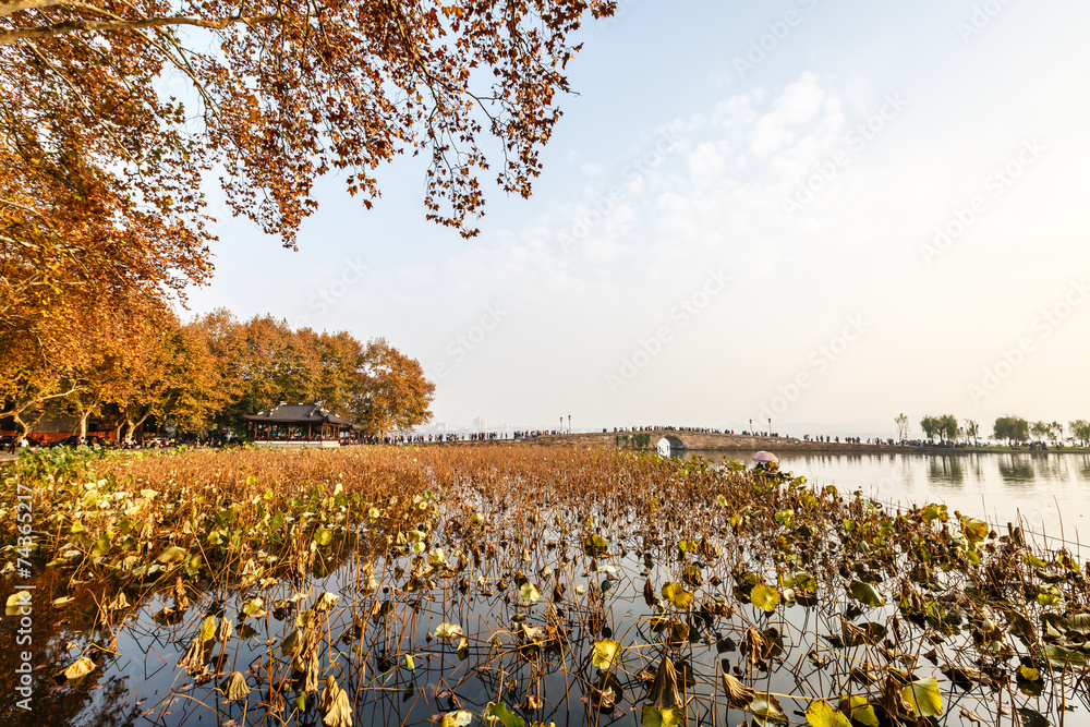 杭州西湖断桥秋景